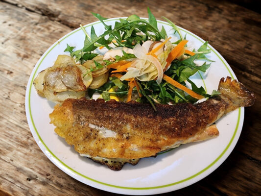 image of fish fried in batter, with a dressed salad on the side.