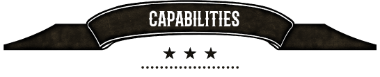 "Capabilities" header graphic